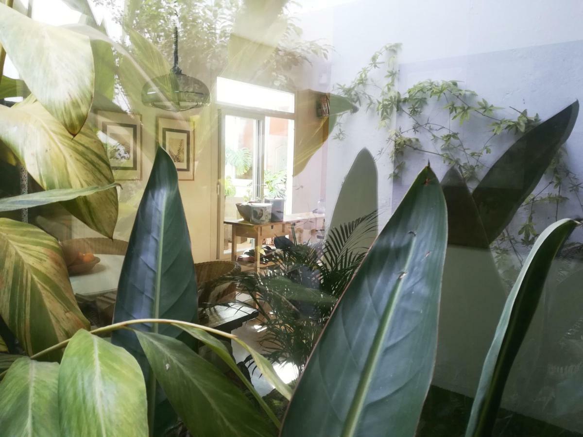 Arte Y Descanso En Sevilla Ngoại thất bức ảnh