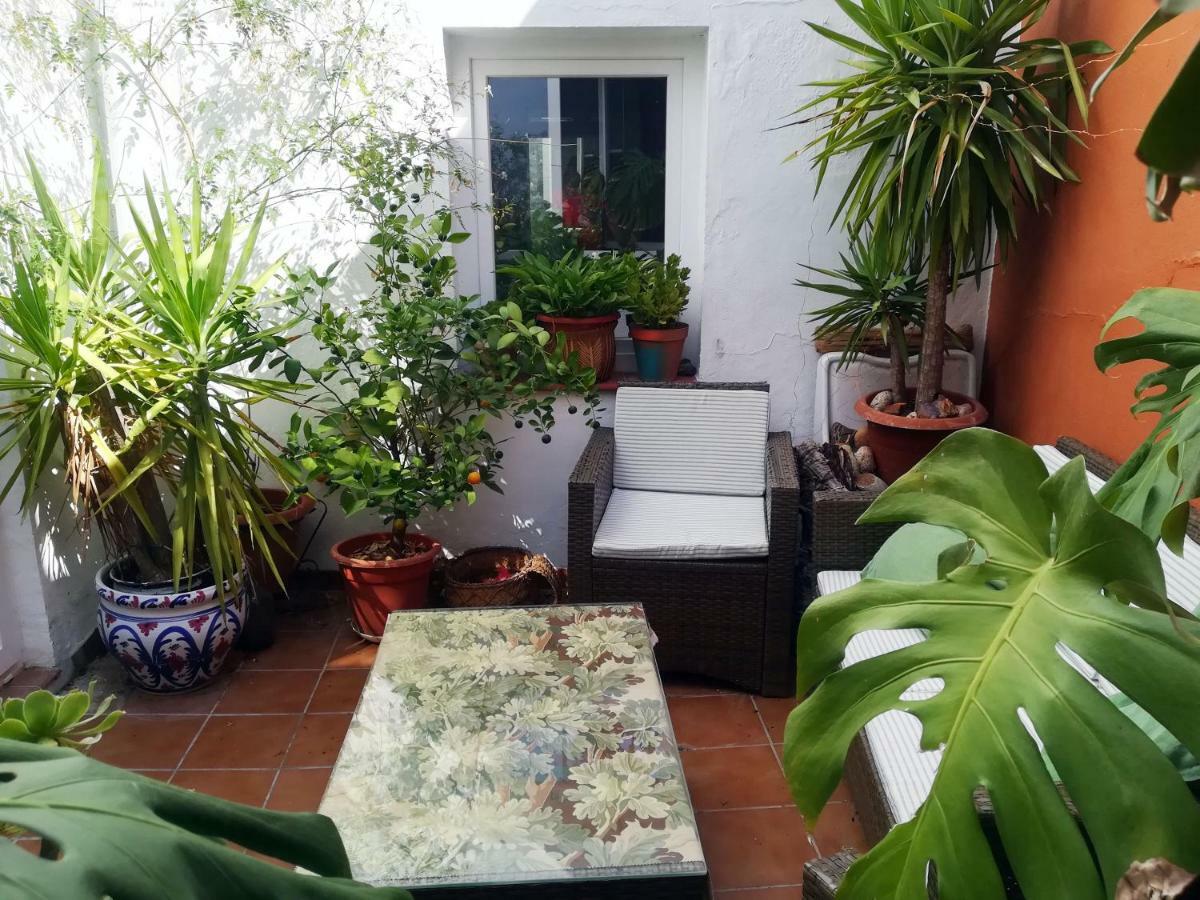Arte Y Descanso En Sevilla Ngoại thất bức ảnh